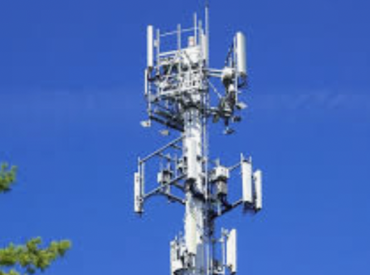 Y No Encuentran a Narcos